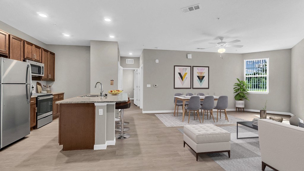 Living Room and Kitchen