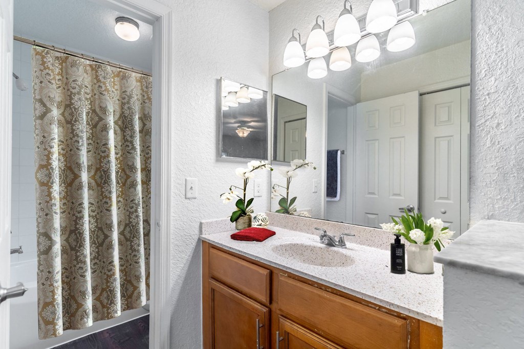 a bathroom with a sink and a mirror