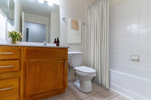 Bathroom Features Shower and Tub Combo