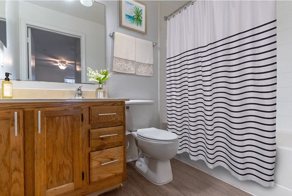 Modern Bath with Shower Tub Combo