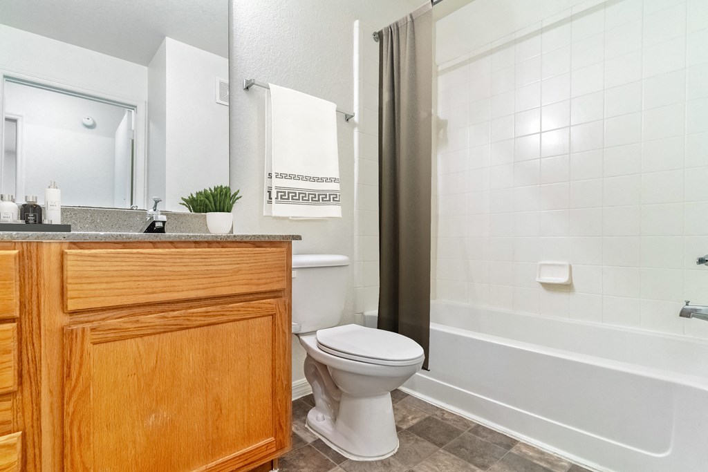 Modern Bath with Shower Tub Combo