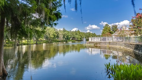 Lake View
