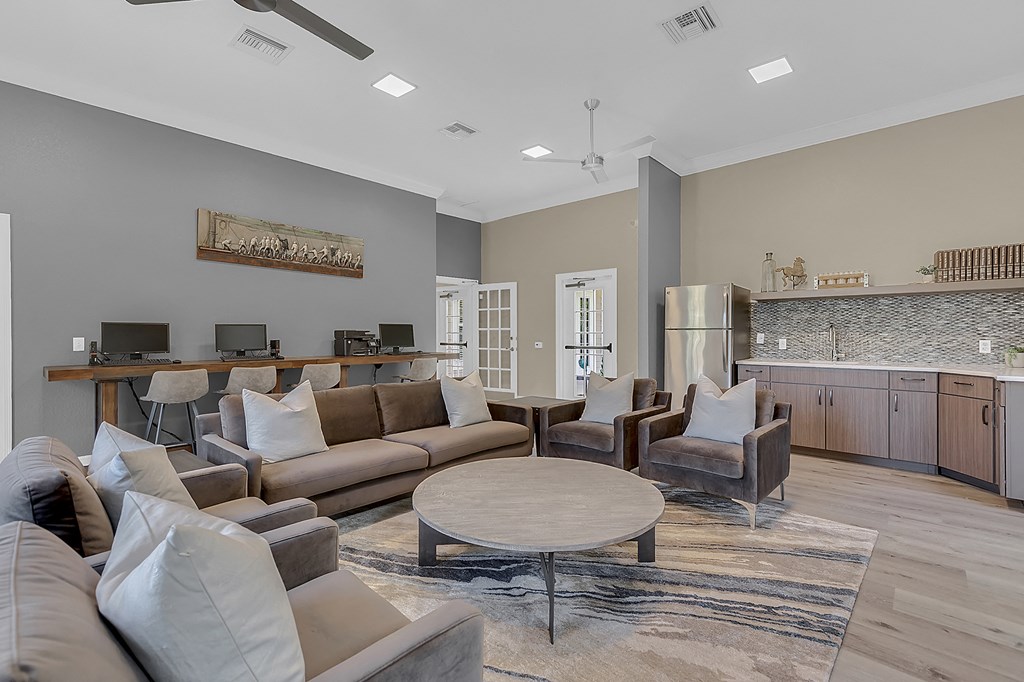 Living Room With Plenty Of Natural Lights