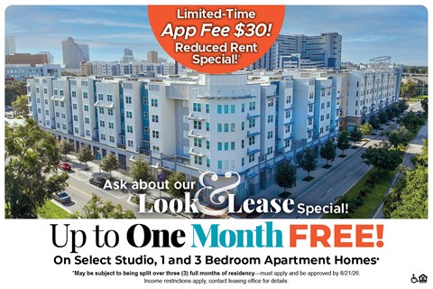 659 W. Amelia Street 1-3 Beds Apartment for Rent