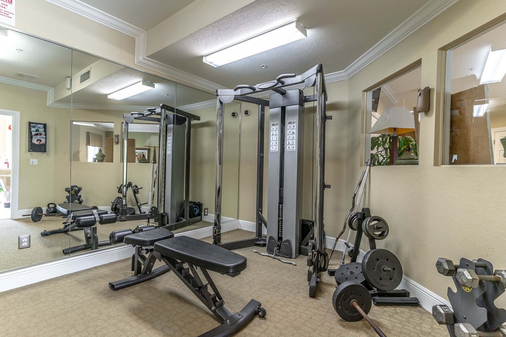 a home gym with weights and cardio equipment