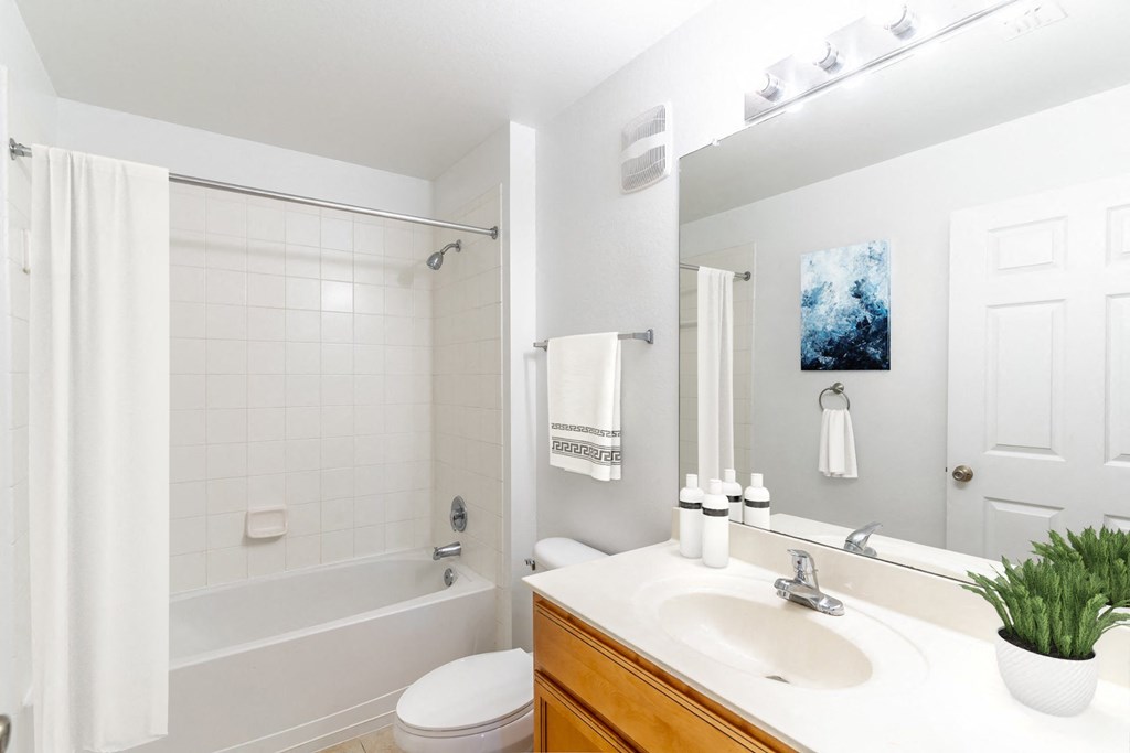 Bathroom with Tub Shower Combo