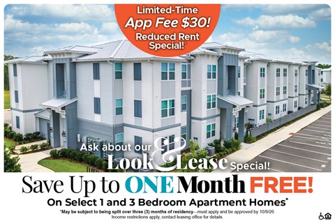 1465 Central Avenue 1-3 Beds Apartment for Rent