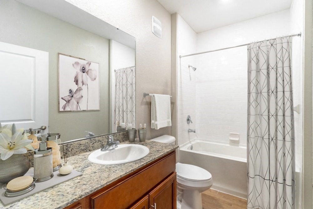 a bathroom with a sink and a shower and a toilet