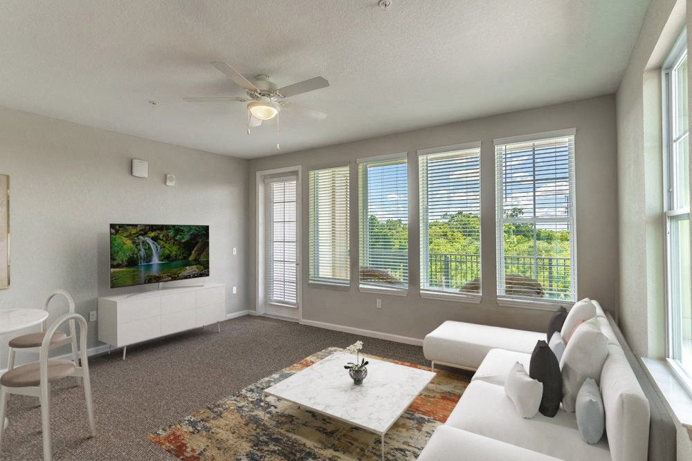 A living room with a white couch, a television, and a rug.