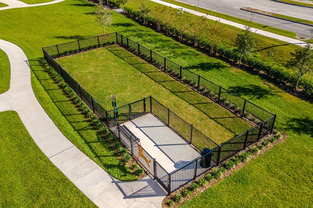 Dog Park