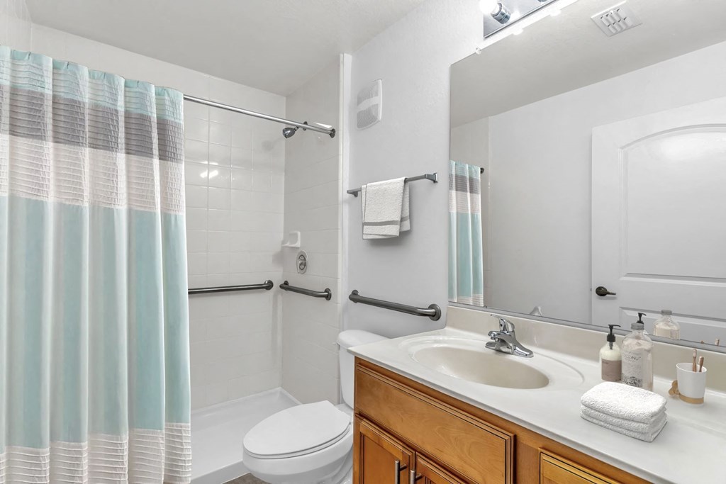 Bathroom with Grab Bars