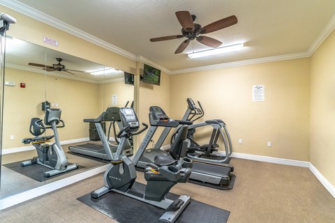 the gym at the whispering winds apartments in pearland, tx