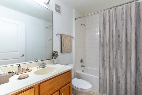 a bathroom with a shower toilet and sink