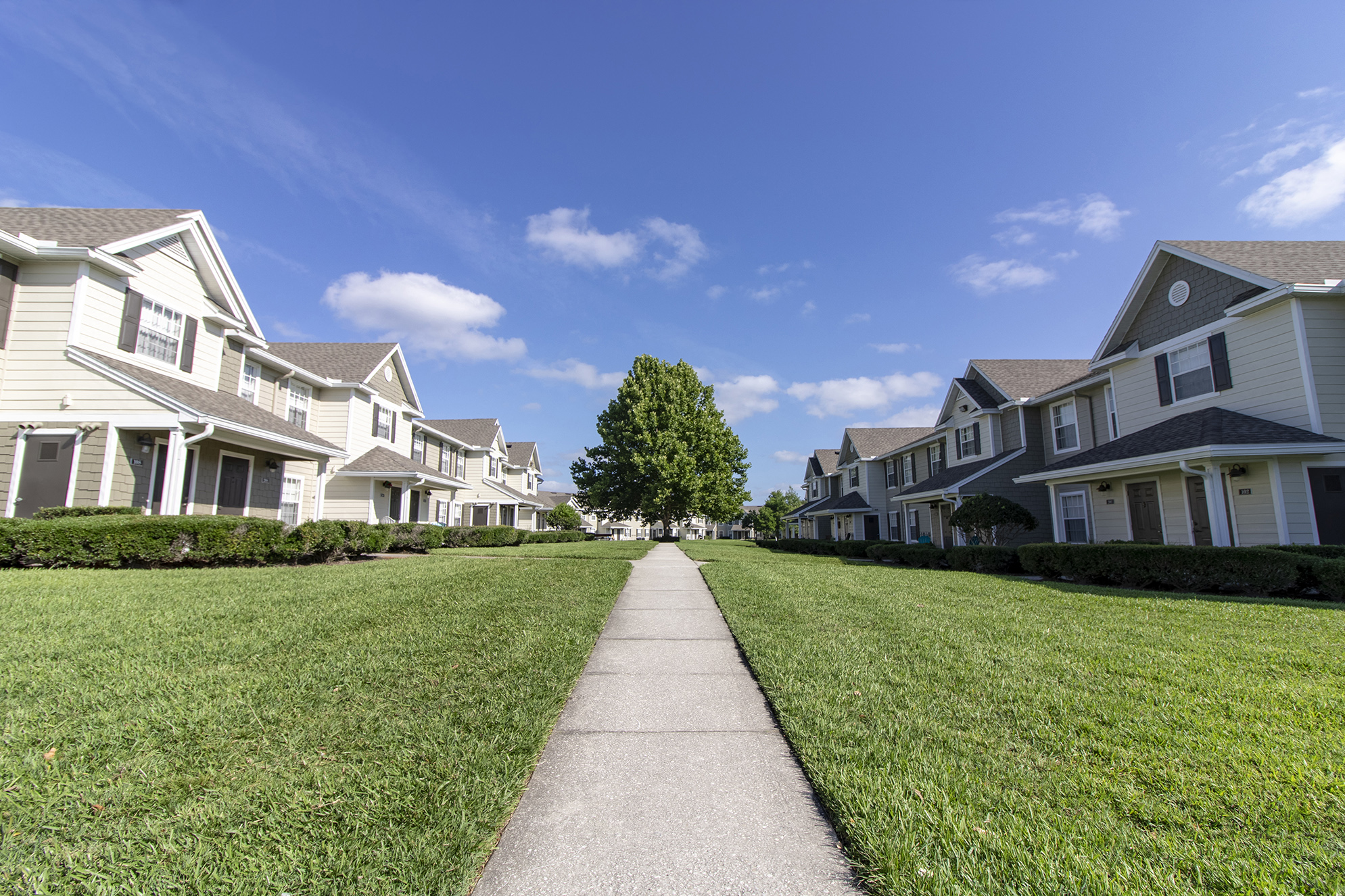 Lush Green Outdoor Spaces