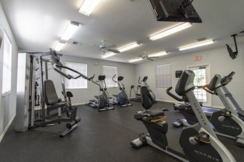 Free Weights And Cardio Equipment - Photo Gallery 4