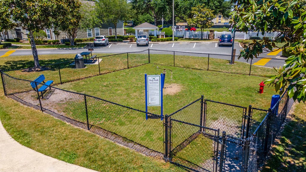 a dog park and a fire hydrant
