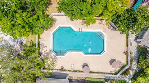 an aerial view of a swimming pool surrounded by trees