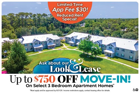 154 Daffodil Drive SW 2-4 Beds Apartment for Rent