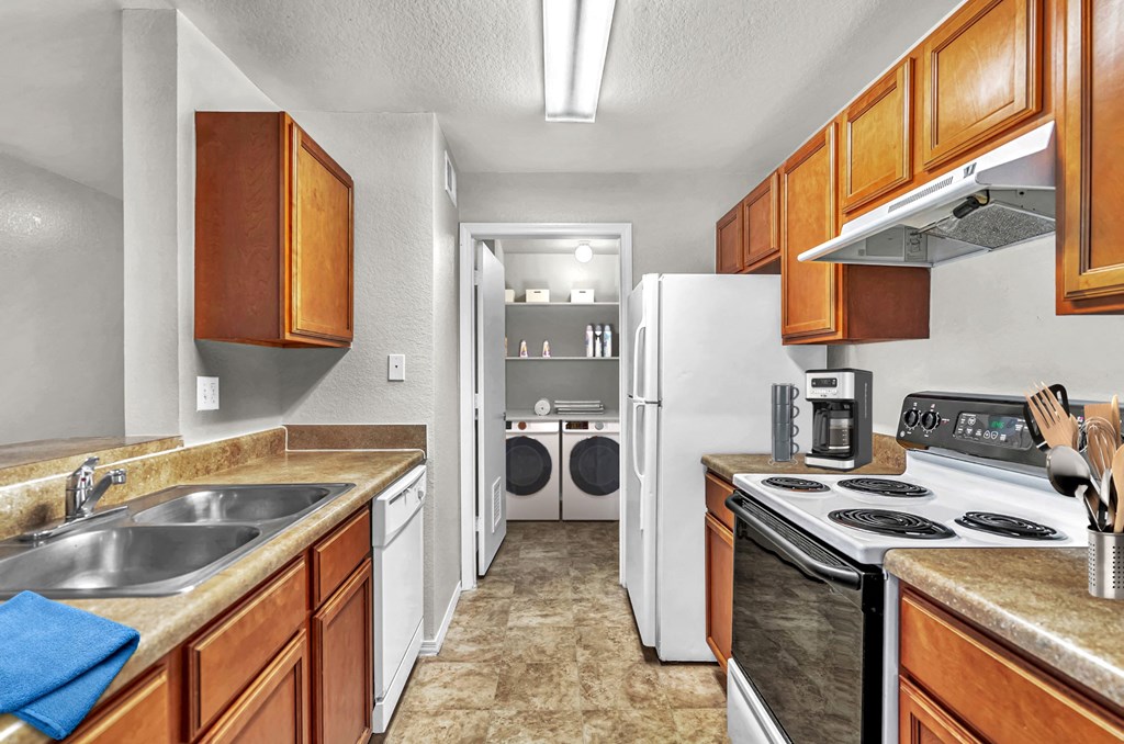 our apartments have a modern kitchen with stainless steel appliances