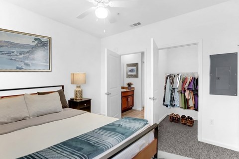 a bedroom with a bed and a closet