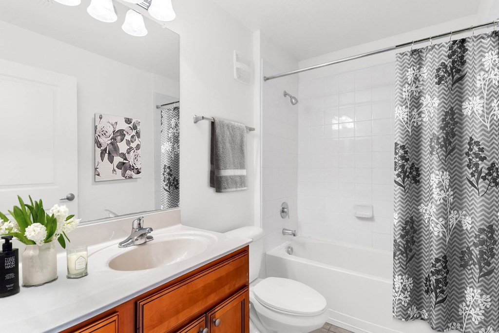 Bathroom with Shower Tub Combo