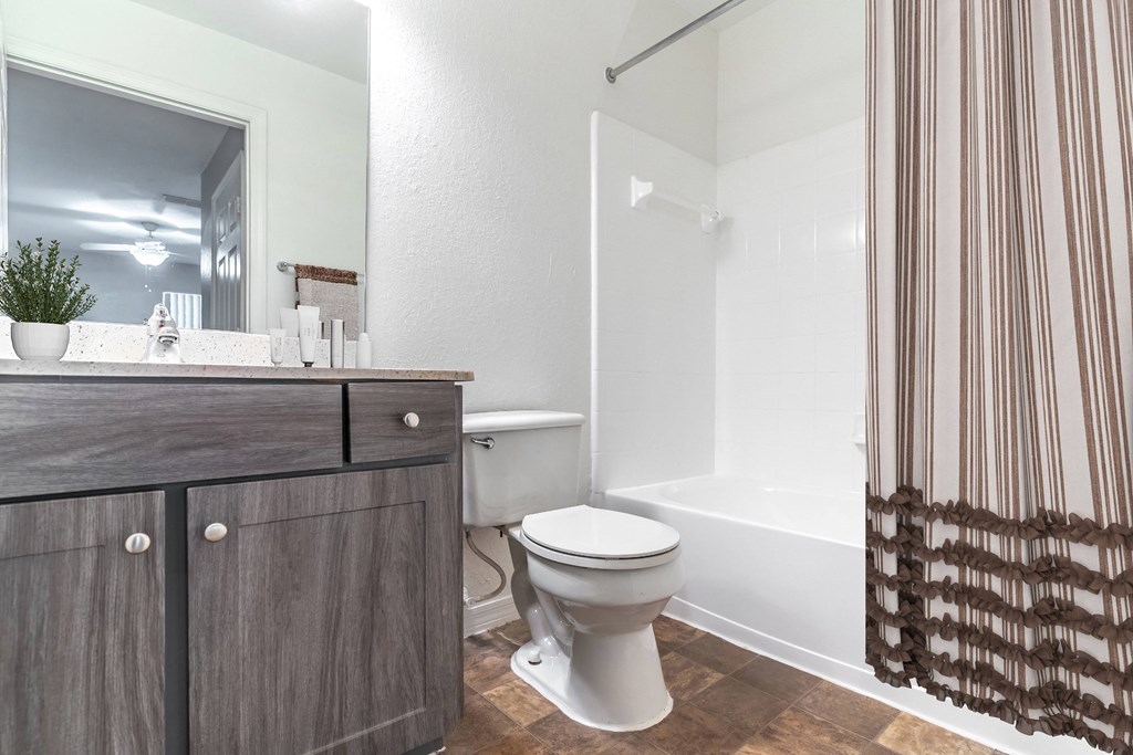 Bathroom Features Shower and Tub Combo