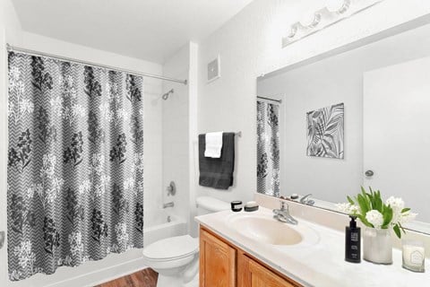 a bathroom with a sink toilet and shower