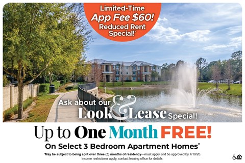 A promotional image for a limited-time app fee reduction and free look lease special.