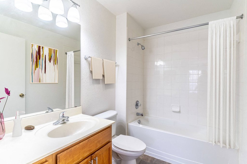 Bathroom with Tub Shower Combo