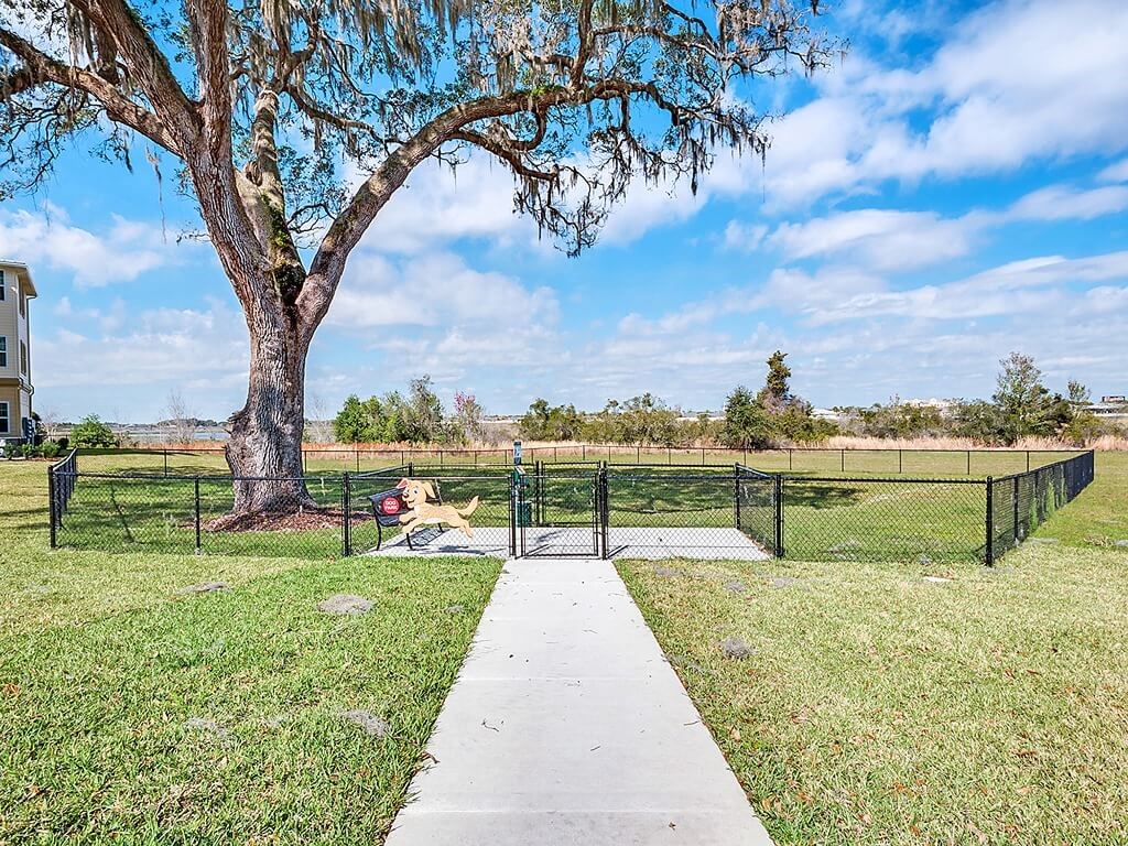 a woman sitting on a picnic blanket in front of a dog park