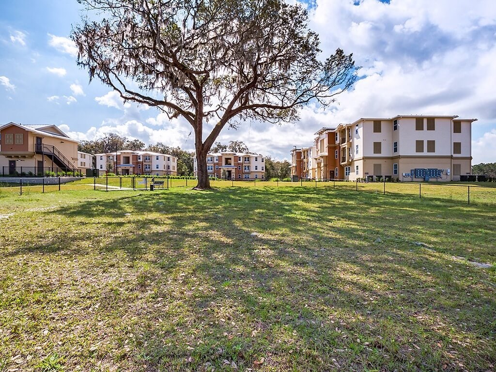 a large grass field with a tree in front of some apartments