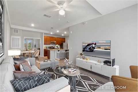 A living room with a grey couch and a television.