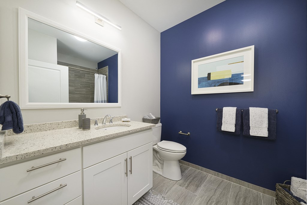 a blue and white bathroom with a toilet and a mirror
