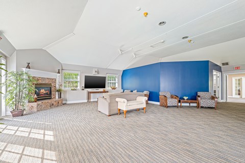 A living room with a fireplace and a television.