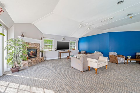 A living room with a fireplace and a television.