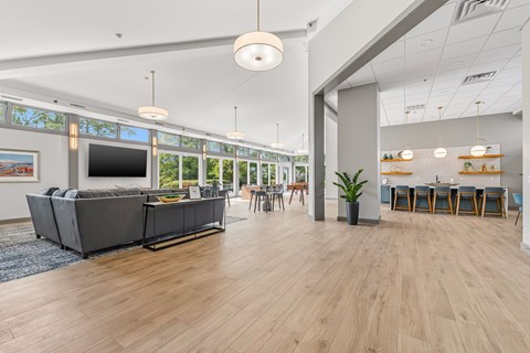 A modern living room with a grey sofa and wooden floors.