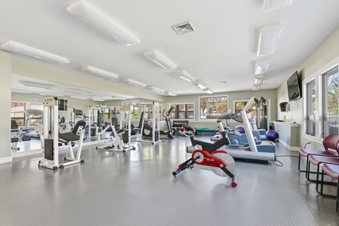 A gym with a variety of equipment including a treadmill, weights, and a bench press.