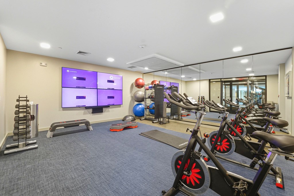 A gym with a variety of equipment including treadmills, exercise balls, and weight machines.