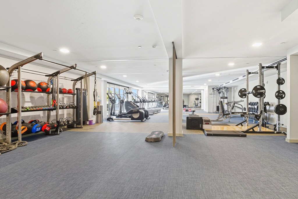 A spacious gym with a variety of equipment.
