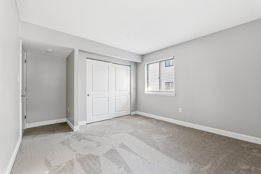 Plush Carpeting at Hidden Brook Apartment Homes, New Bedford