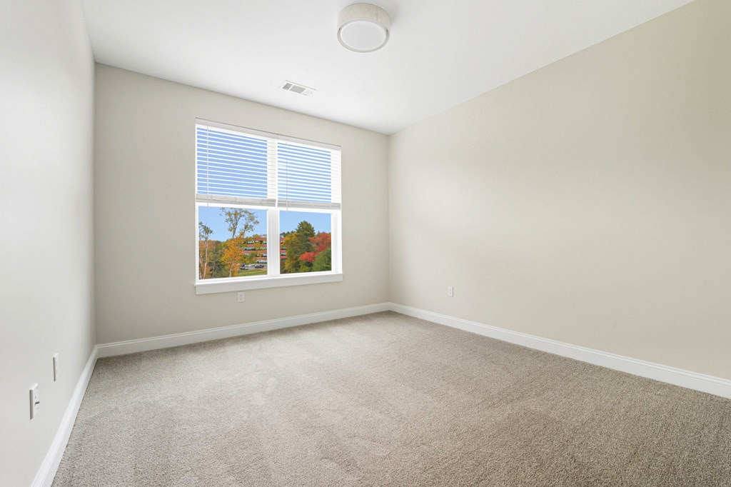 A room with a window showing a view of trees and a car.