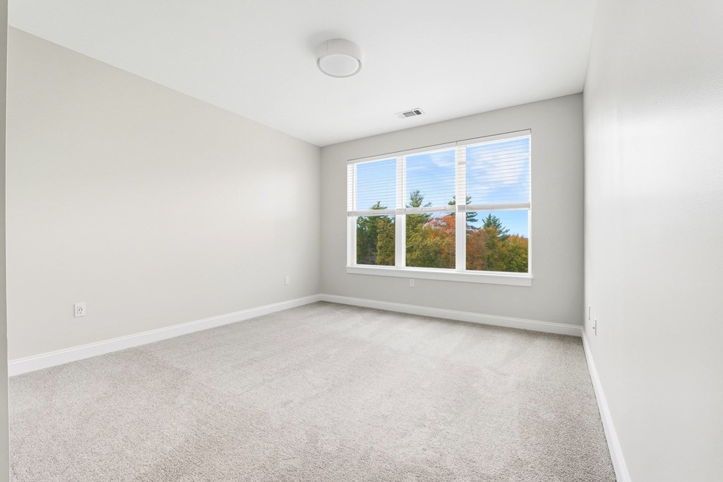 A room with a carpeted floor and a window showing trees outside.