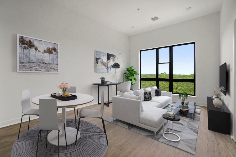 Living / Dining Room