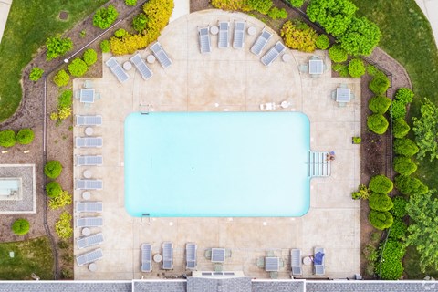 An aerial view of a swimming pool surrounded by sun loungers and trees at Axis at Lakeshore Apartments, Bridgewater, MA, 02324
