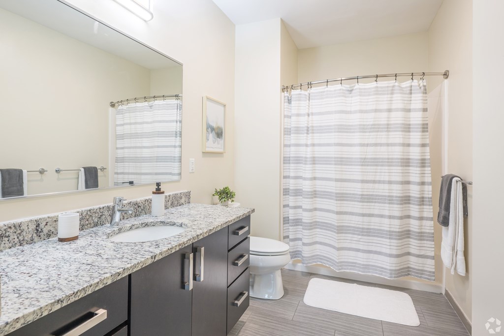 A bathroom with a sink, toilet, and a shower curtain at Axis at Lakeshore Apartments, Bridgewater, MA