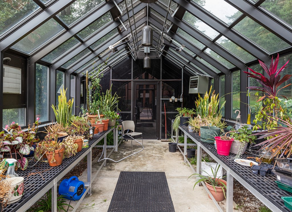 a greenhouse filled with potted plants and a glass roof