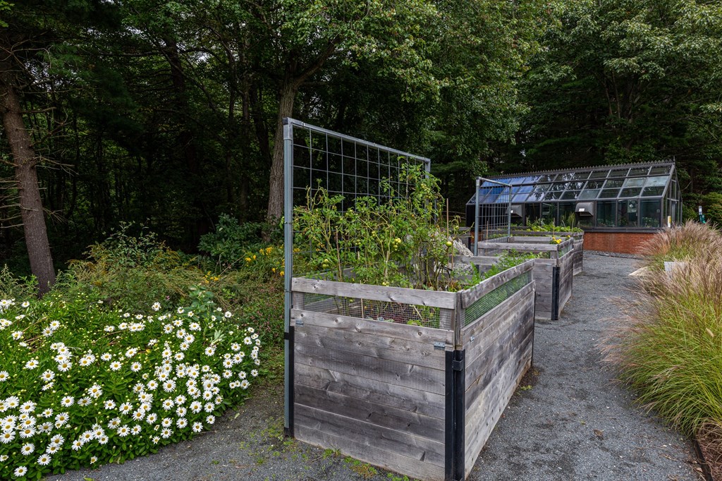 a row of raised garden beds and a greenhouse