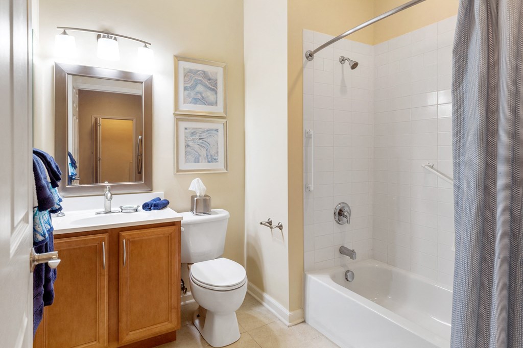 a bathroom with a shower toilet and sink and a mirror
