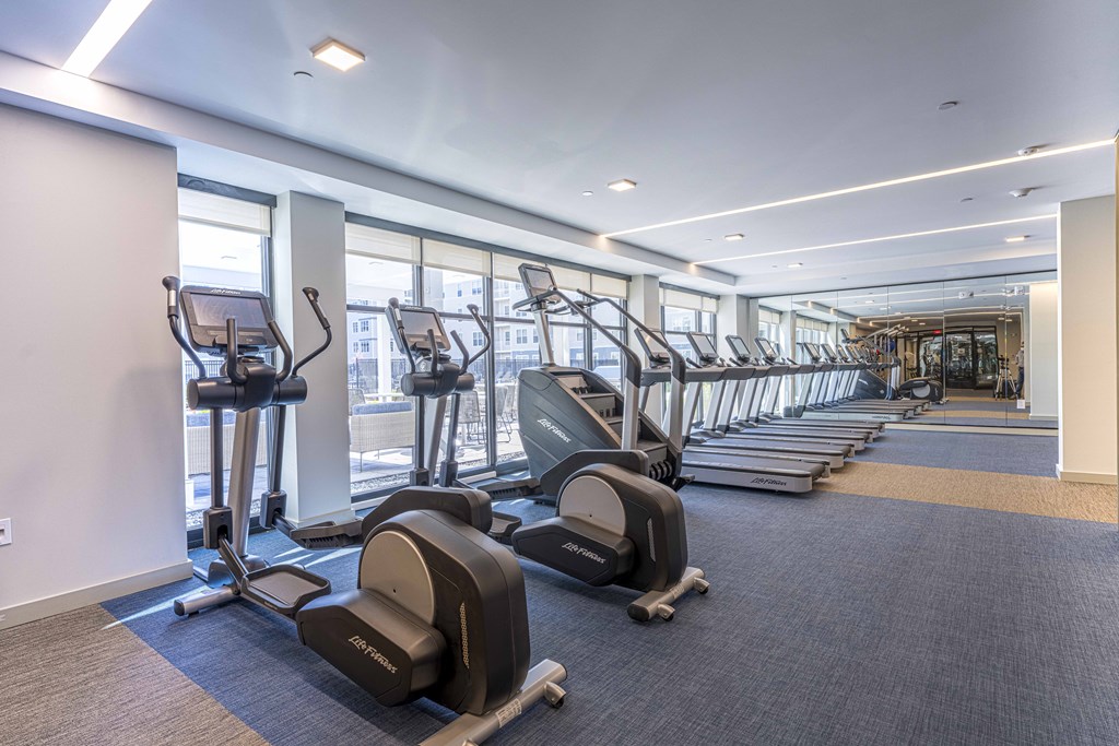 a row of cardio equipment in a fitness room with windows