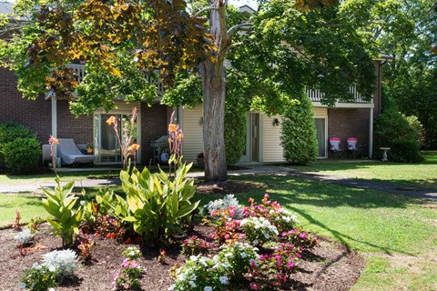 front yard with flowers and a tree in front of a house